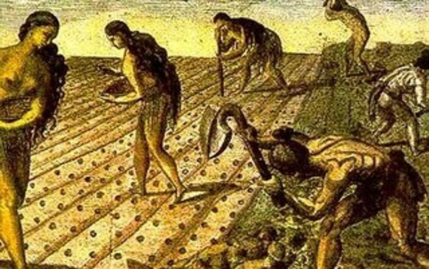 <p>A system whereby the Spanish crown granted the conquerors the right to forcibly employ groups of Indians; it was a disguised form of slavery.</p>