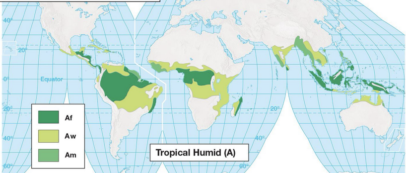<p><strong>tropical </strong>climate characteristics: <strong>A</strong></p>
