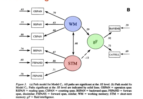 STM -> not related to gf

WM -> related to gf