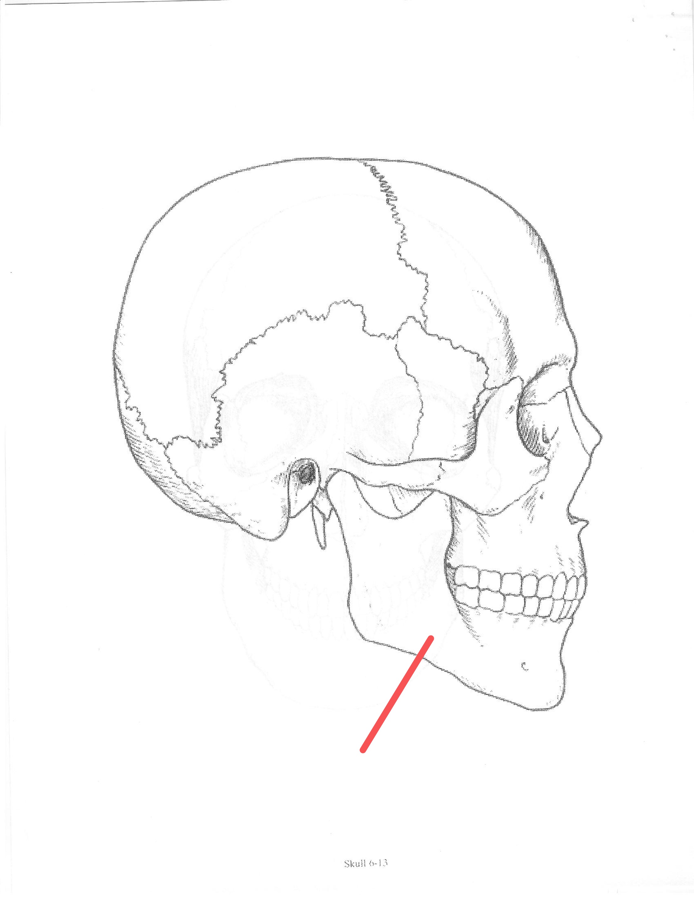 <p>ID feature</p>