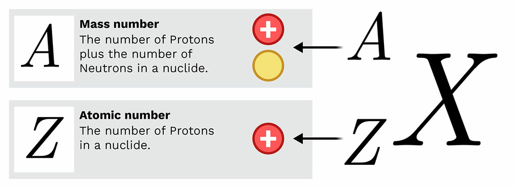 <p>atomic number - protons; atomic mass - protons and electrons</p>