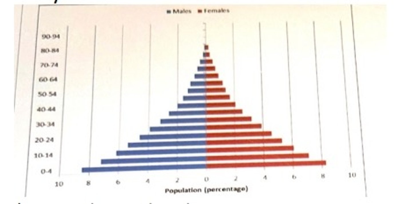 <p>a developing nation</p>