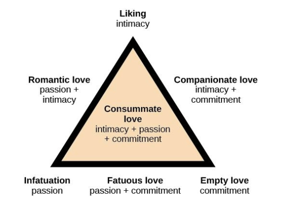 <p>Seven types of love described from combinations of three components:</p><ol><li><p><strong>Intimacy</strong> - sharing details and intimate thoughts and emotions</p></li><li><p><strong>Passion</strong> - physical attraction </p></li><li><p><strong>Commitment</strong> - standing by the person </p></li></ol>