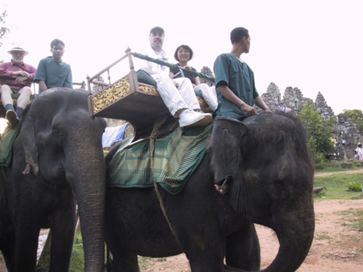 <p>to ride an elephant</p>