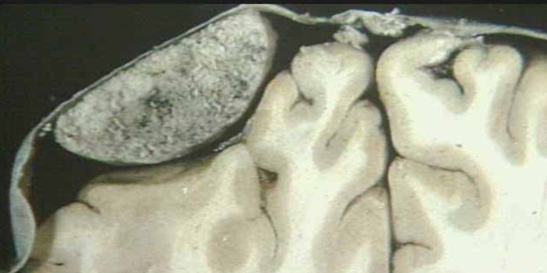 <p>What is this?</p>