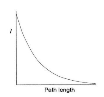 <p>- 𝐼 decreases exponentially with an increase in path length</p>