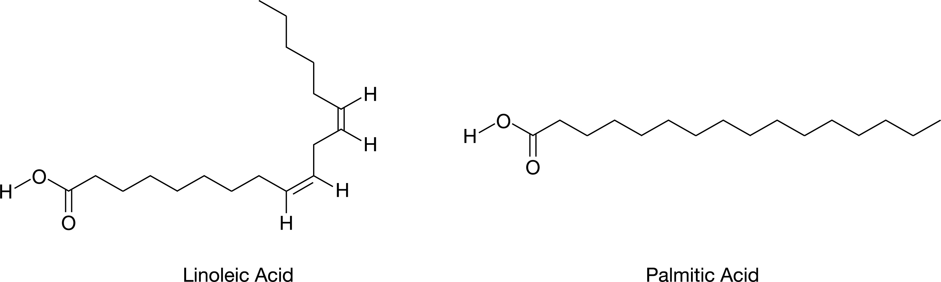 <p>The molecular structures of linoleic acid and palmitic acid, two naturally occurring substances, are shown in the figure.</p><p>Based on the molecular structures shown in the figure, which molecule is likely to be solid at room temperature?</p>
