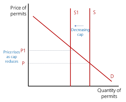 <p><span style="line-height: 107%;"><span>Carbon emissions trading, also known as cap-and-trade, is a market-based system for reducing greenhouse gas emissions. Under a cap-and-trade system, the government sets a limit, or cap, on the total amount of emissions that can be produced in a given period. Companies are then issued permits, or allowances, to emit a certain amount of CO2. If a company emits less than its allotted amount, it can sell its surplus allowances to another company that has exceeded its limit. This incentivises firms to emit less because they can increase their revenue by selling permits and/or because if they pollute they will have to buy more permits adding to their costs. </span></span></p>