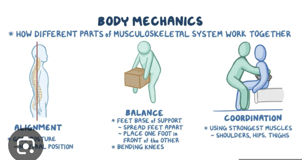 <p><span style="background-color: transparent;"><span>Body mechanics</span></span></p>