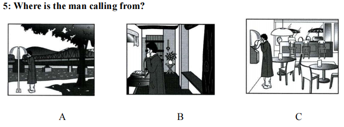 term image