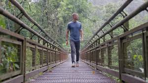 <p>footbridges | walkways </p>