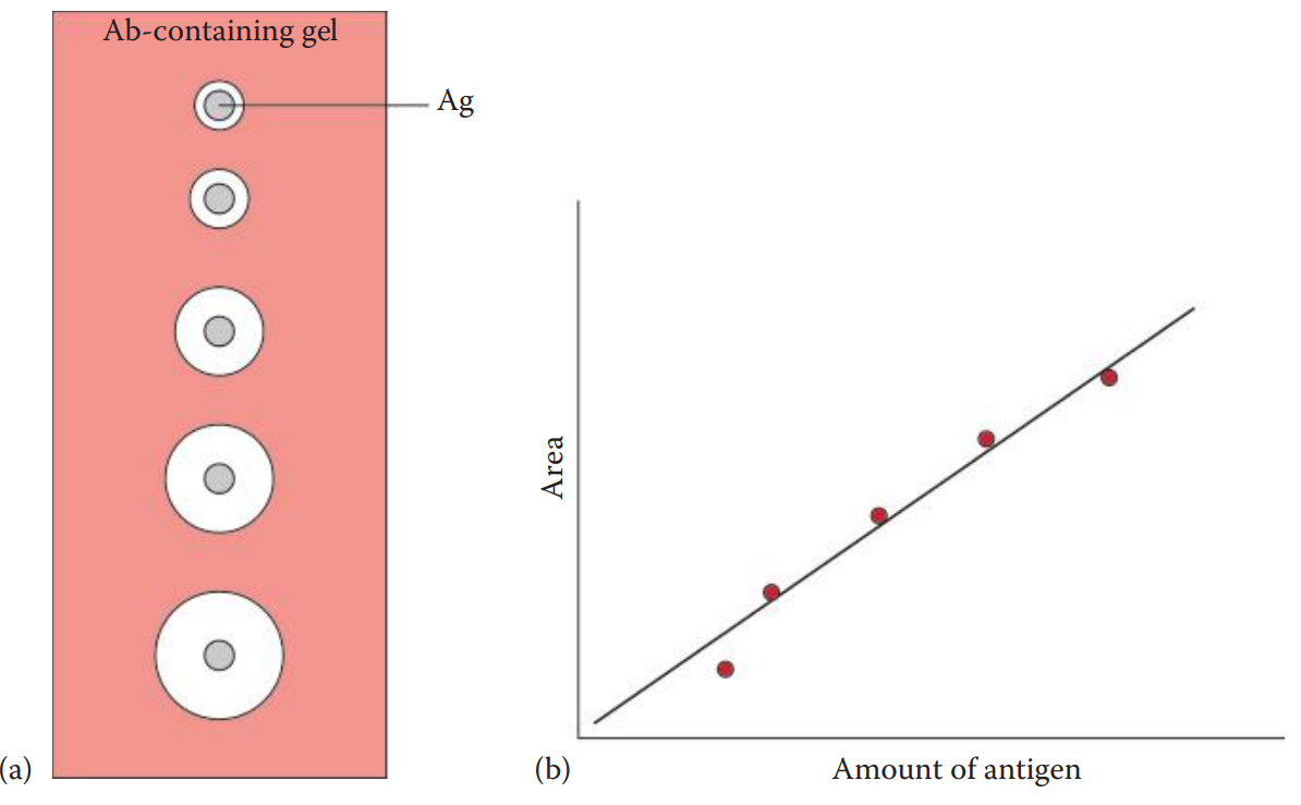 Radial immunodiffusion assay. (a) Immunodiffusion of antigens from a well into an antibody-containing gel. (b) Standard curve based on results of standards with known amounts of antigens.