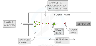 <ol><li><p>Vacuum</p></li><li><p>Ionisation</p></li><li><p>Acceleration</p></li><li><p>Ion drift</p></li><li><p>Detection</p></li><li><p>Data Analysis</p></li></ol><p></p>