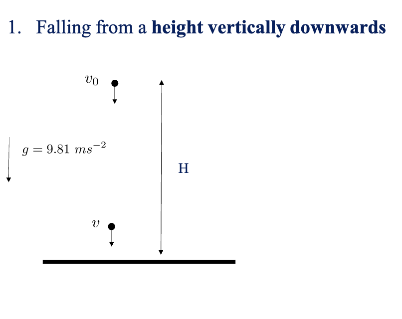 <p>a=+9.8 m/s<sup>2</sup></p>