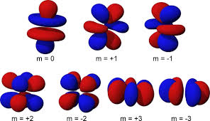 <p>what orbital is this?</p>