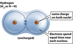 <p>A covalent bond is formed when electrons are shared between atoms and can be polar or non-polar.</p>