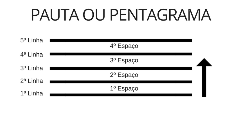 <p>5 lines and 4 spaces where you write the music.</p>