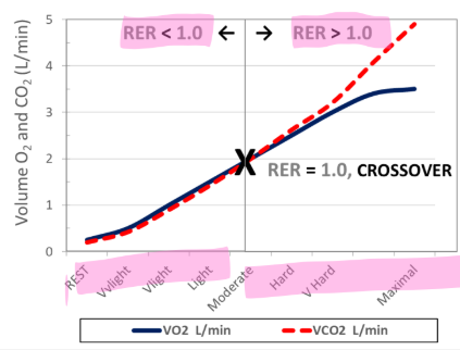 <p>VCO2 produced / VO2 consumed</p>