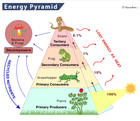 <p>10% of the energy; divide by 10</p>
