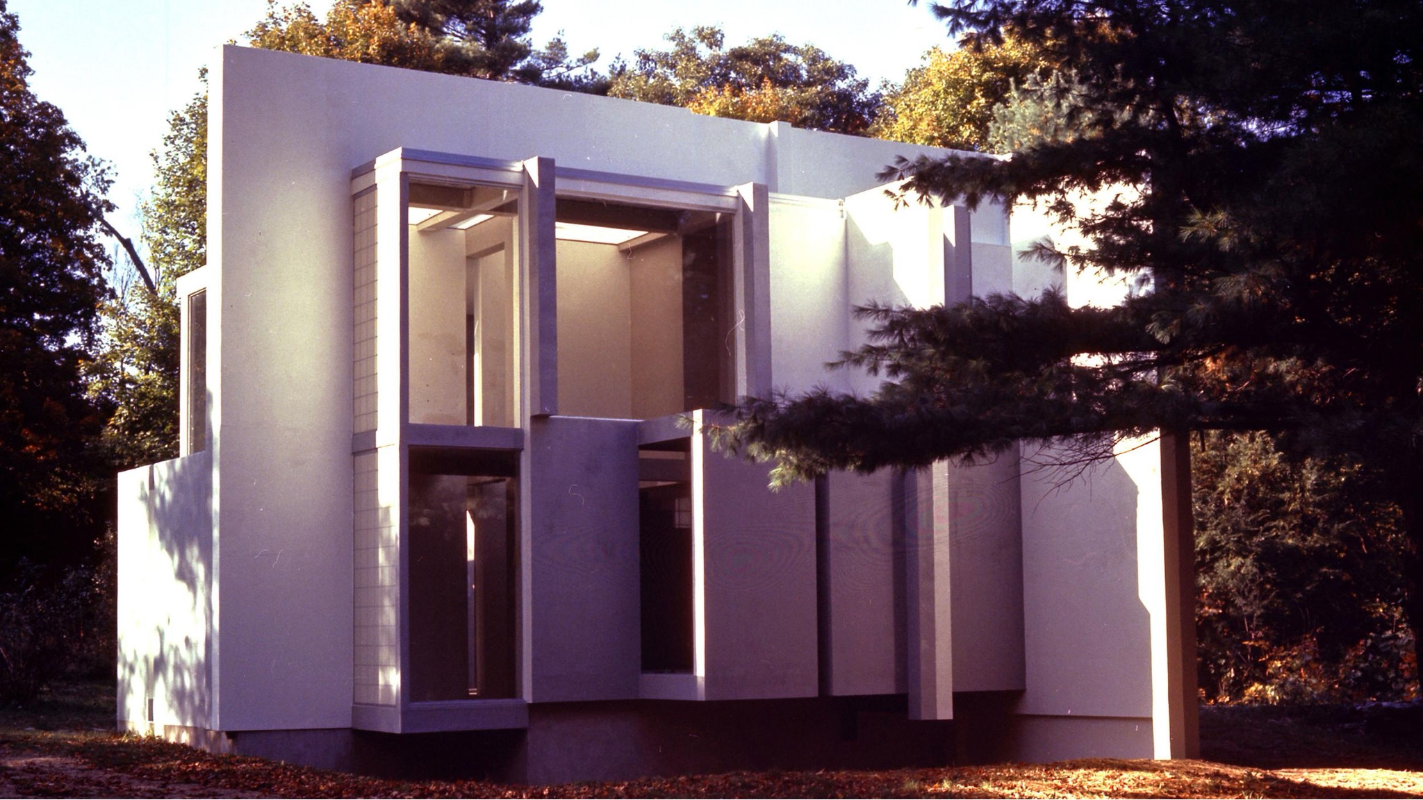 term image