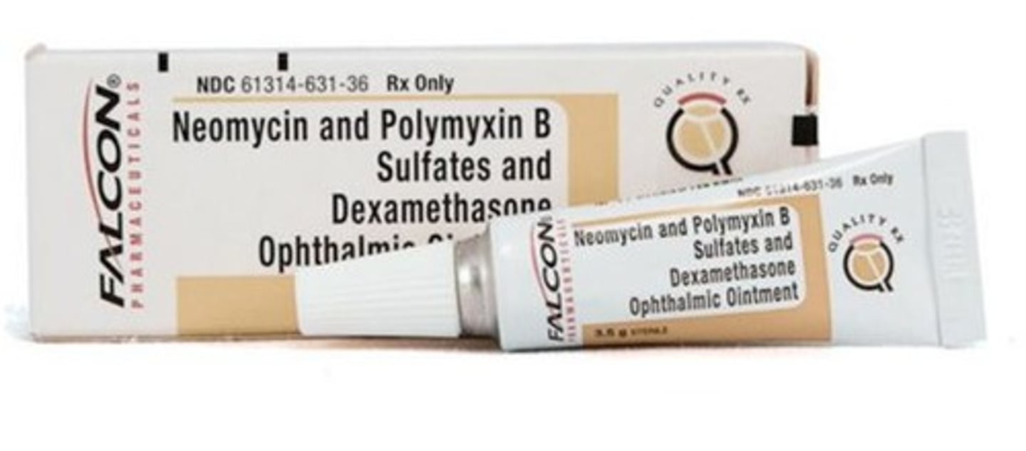 <p>NBP w/ or w/out HC;</p><p>eye ointment</p><p>topical, skin</p>