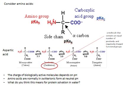 <ul><li><p class="Paragraph WhiteSpaceCollapse SCXP49213095 BCX8" style="text-align: left;"><span style="line-height: 0px;"><span>Consider an enzyme with a carboxyl group. The structure of that group will depend on the pH, If the enzyme needs to be protonated in order to be active, then the enzyme will only work in the pH range in which the majority of the enzyme molecules have their carboxyl group protonated.​</span></span></p></li></ul><p></p>
