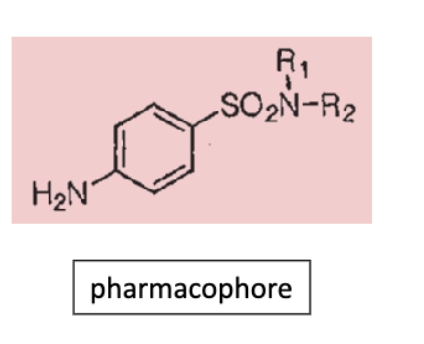 <p>block folic acid synthesis</p>