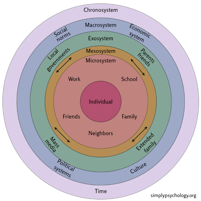 <p>Mesosystem</p>