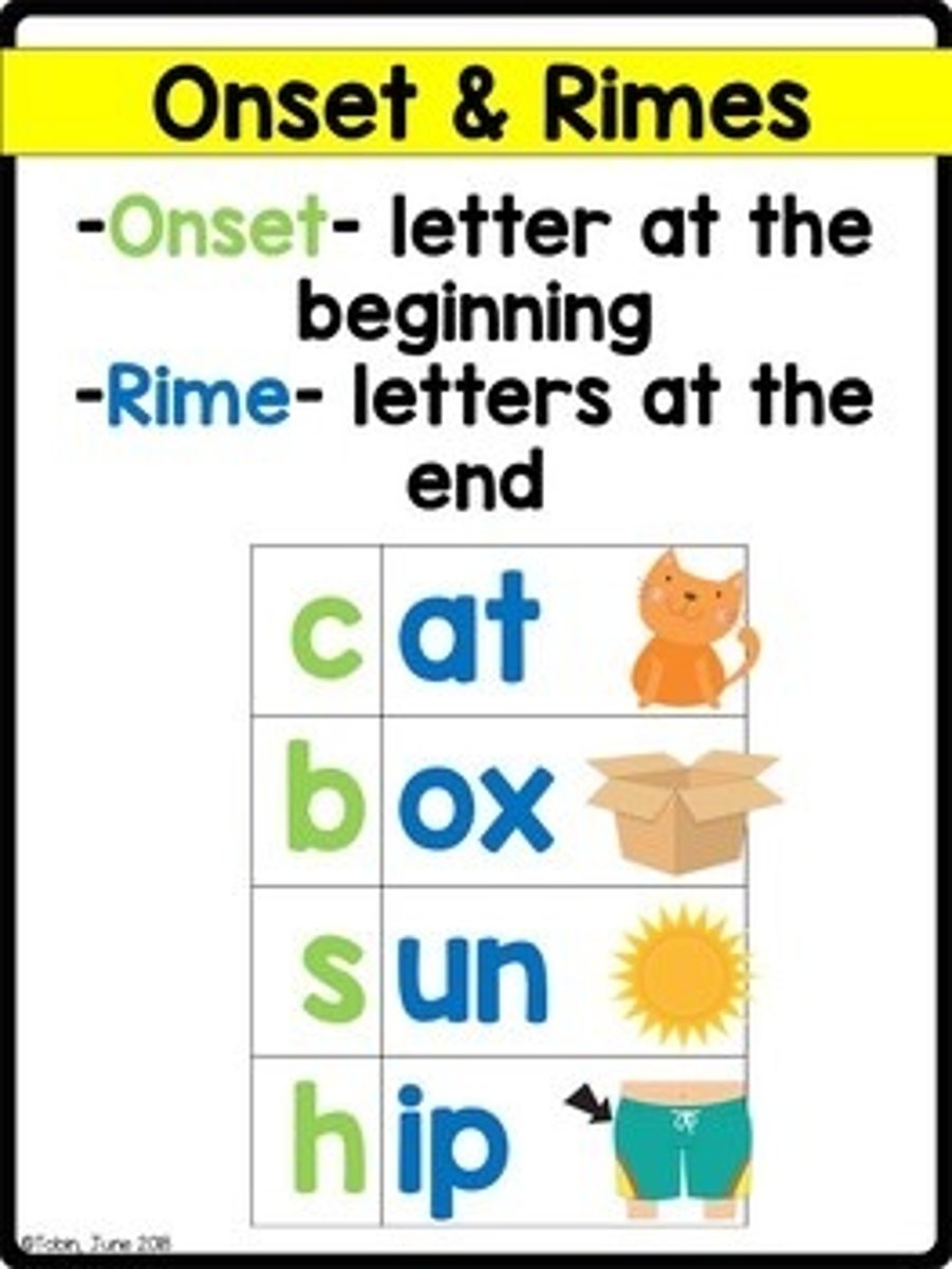 <p>Beginning consonant and consonant cluster before a rime.</p>