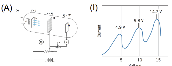 <ul><li><p class=""><strong>Apparatus:</strong> Electron gun, mercury vapor tube, collector electrode, adjustable voltage</p></li><li><p class=""><strong>Data Collected:</strong> Current vs. accelerating voltage</p></li><li><p class=""><strong>Results:</strong> Drop in current at specific voltages corresponding to energy absorbed by atoms</p></li><li><p class=""><strong>Significance:</strong> Provided evidence for <strong>quantized atomic energy levels</strong></p></li></ul><p></p>