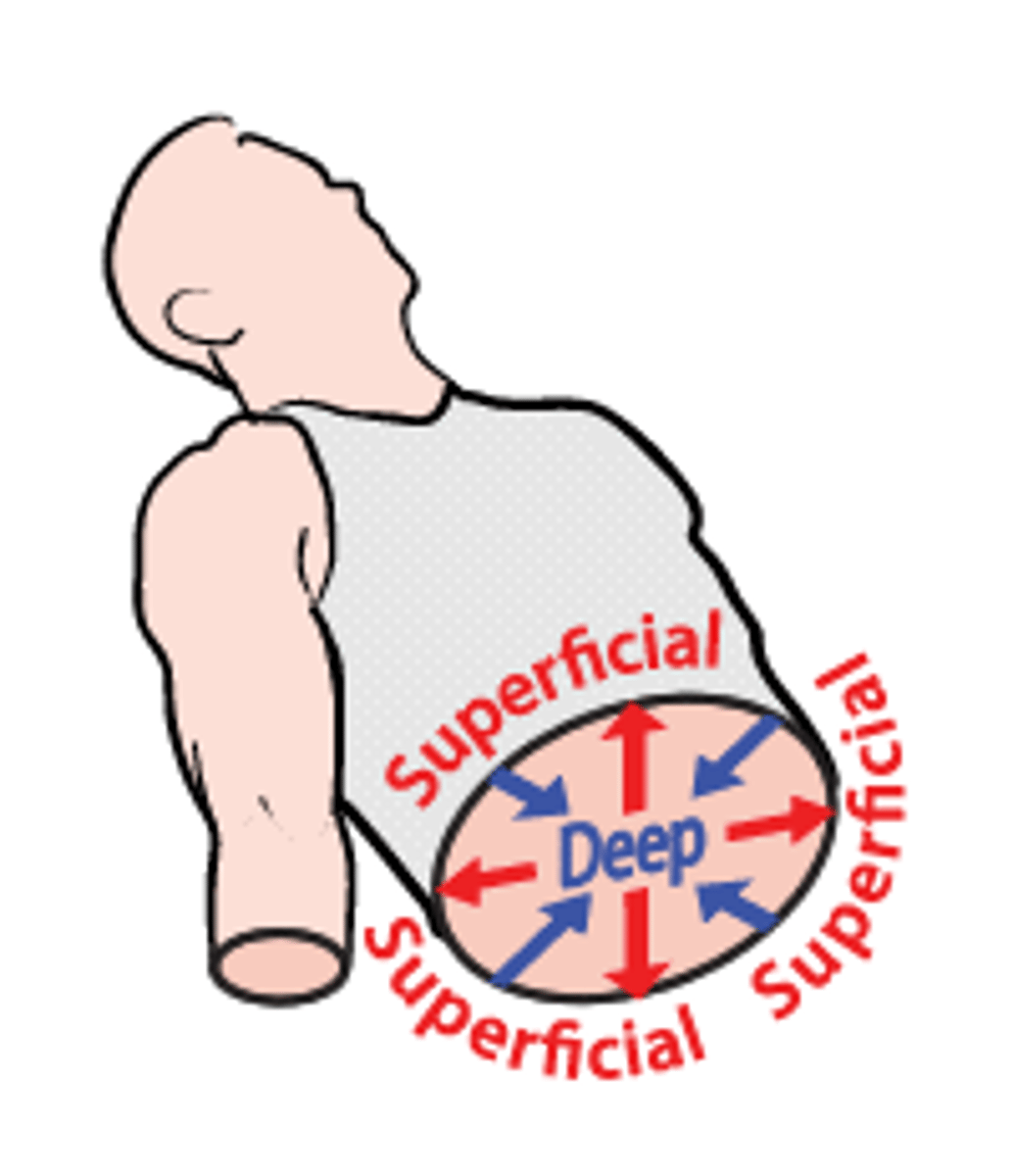 <p>Away from the surface of the body</p><p>Ex) The lungs are deep to the rib cage.</p>