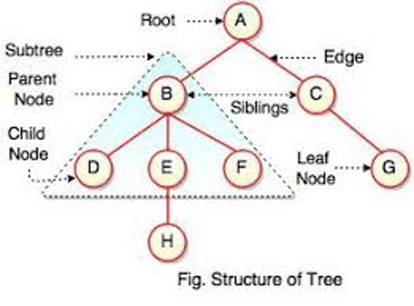 <p>Nonlinear data structure, compared to arrays, linked lists, stacks and queues which are linear data structures.</p><p>Can be empty with no nodes or a tree is a structure consisting of one node called the root and zero or one or more subtrees.</p>