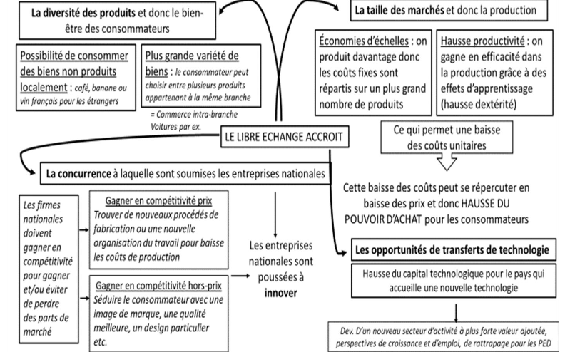 <p>La diversité des produits </p><p>La taille des marchés</p><p>La concurrence</p><p>Les opportunités de transferts de technologie </p>