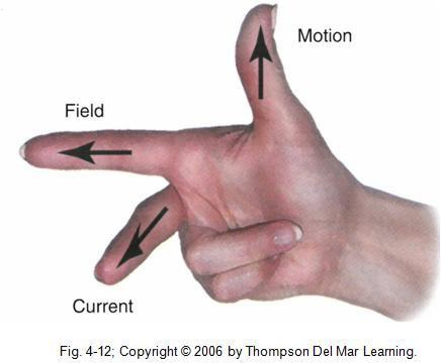 <p>thumbs = movement of conductor or armature</p><p>index finger = magnetic lines of force field</p><p>middle fingers = current or electron flow</p>