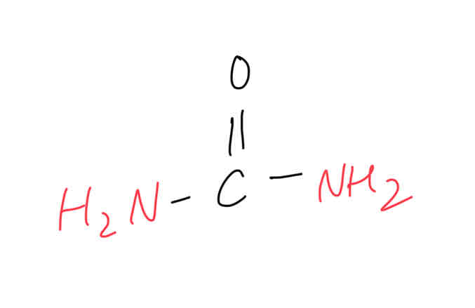 <ul><li><p>excreted in urine </p></li><li><p>end product of protein metabolism</p></li></ul><p></p>