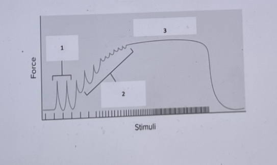 In the image below, what is indicated by #3?