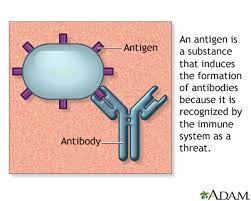 <p>What is an Antigen?</p>