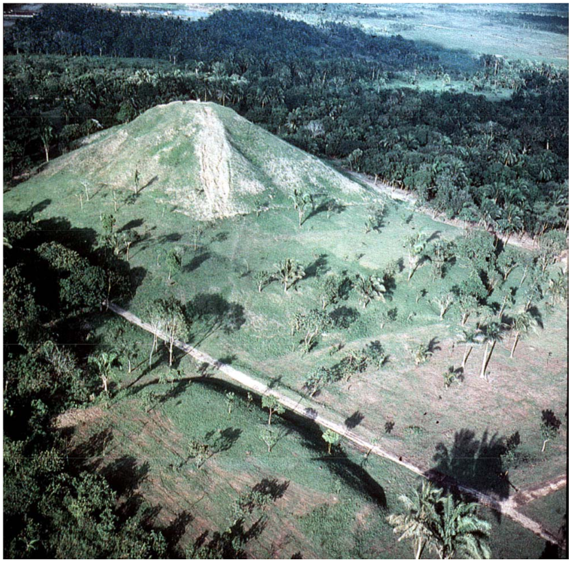 <p></p>