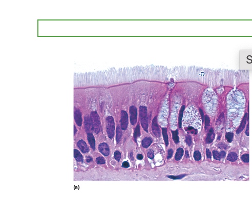 <p>what type is this</p>
