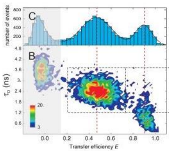 new metastable state!