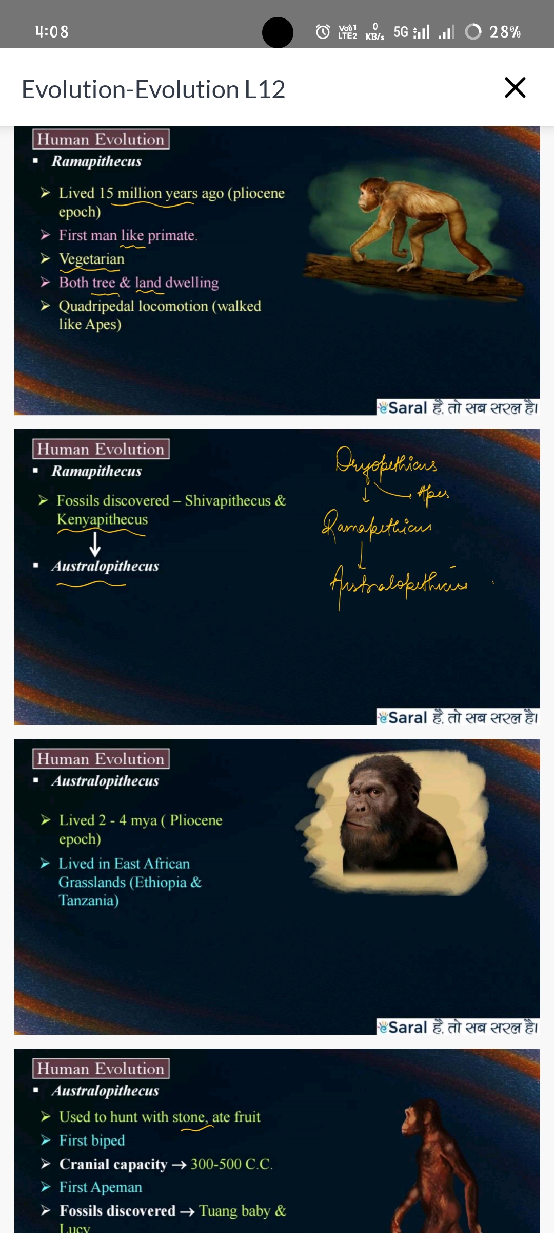 knowt flashcard image