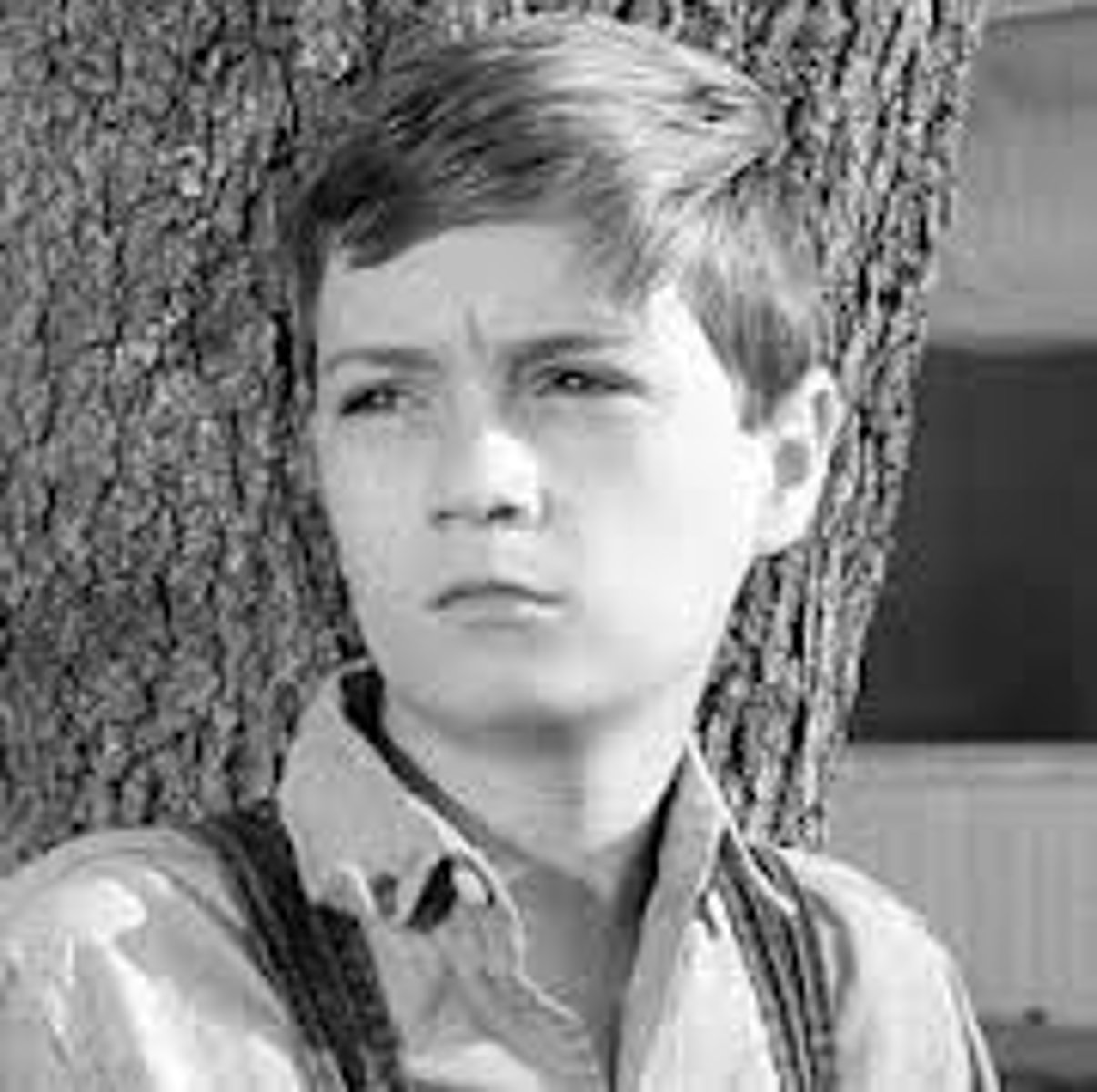 <p>the narrator's brother; four years older than she is; went up and slapped the Radley house</p>