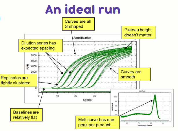 <ul><li><p>curves are all S shaped</p></li><li><p>dilution series has expected spacing</p></li><li><p>replicates are tightly clustered</p></li><li><p>baselines are relatively flat</p></li><li><p>plateau height doesn’t matter</p></li><li><p>curves are smooth</p></li><li><p>melt curve has one peak per product</p></li></ul><p></p>