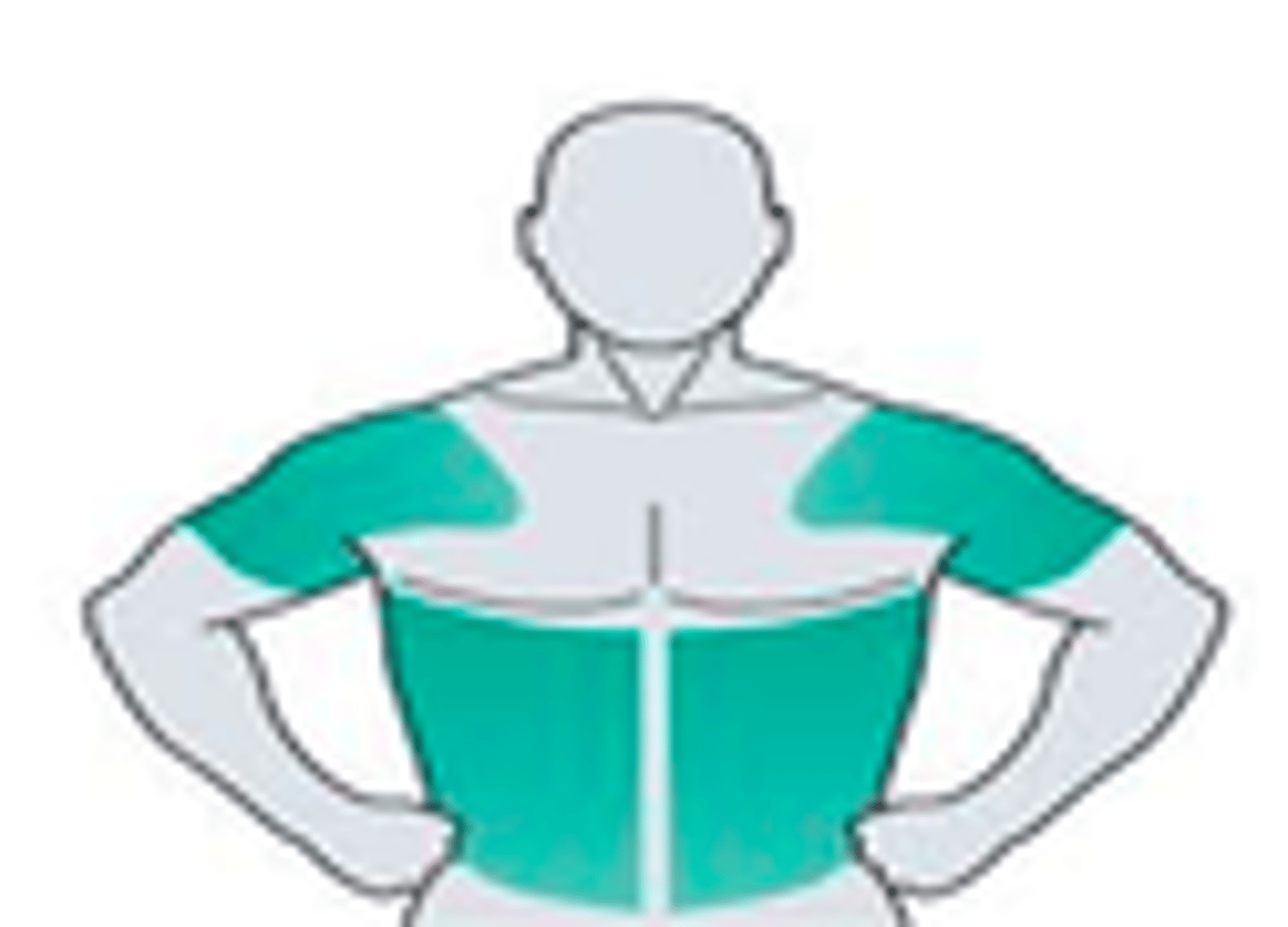 <p>1% strength: abdomen + shoulders</p><p>( higher strengths: shoulders only)</p>