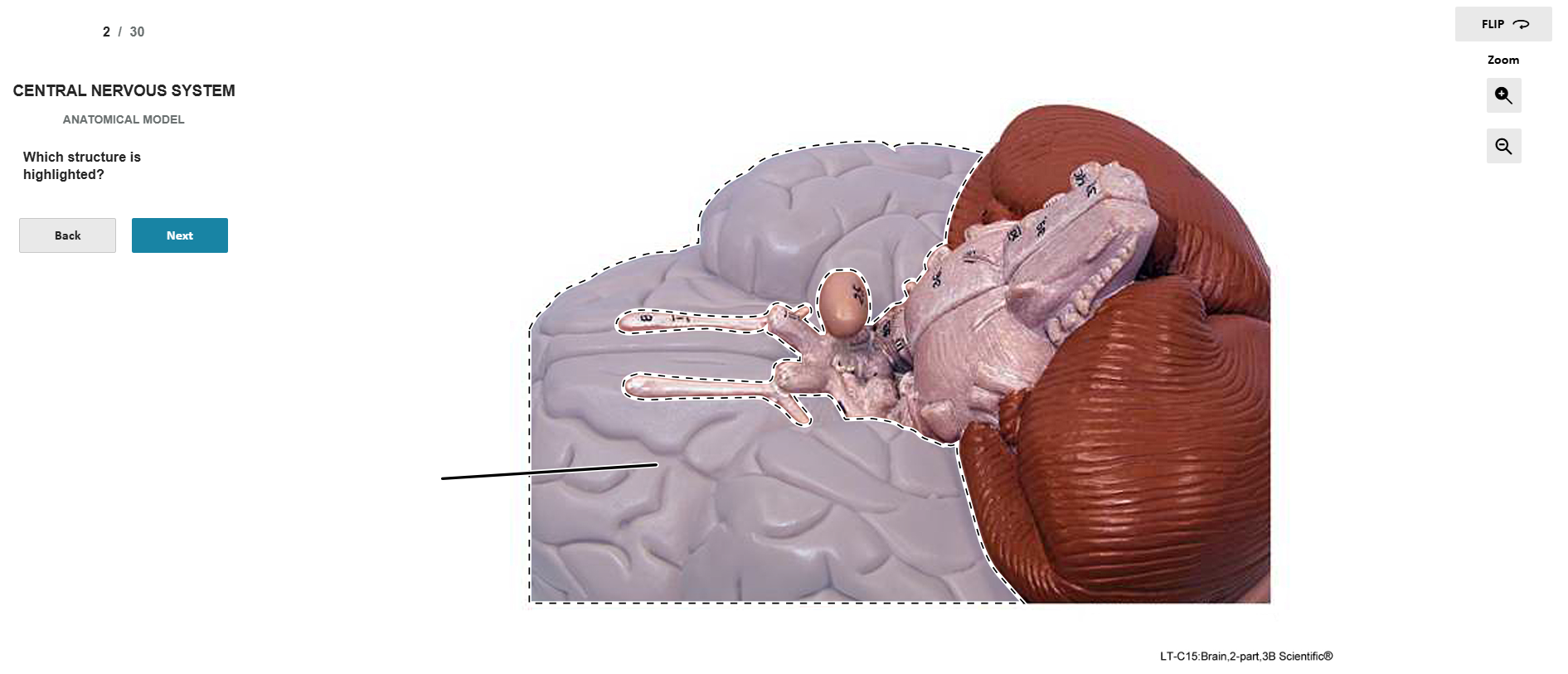 knowt flashcard image