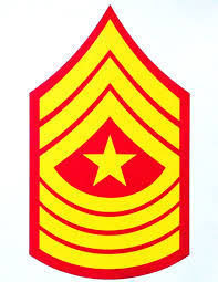 <p>E-9</p>