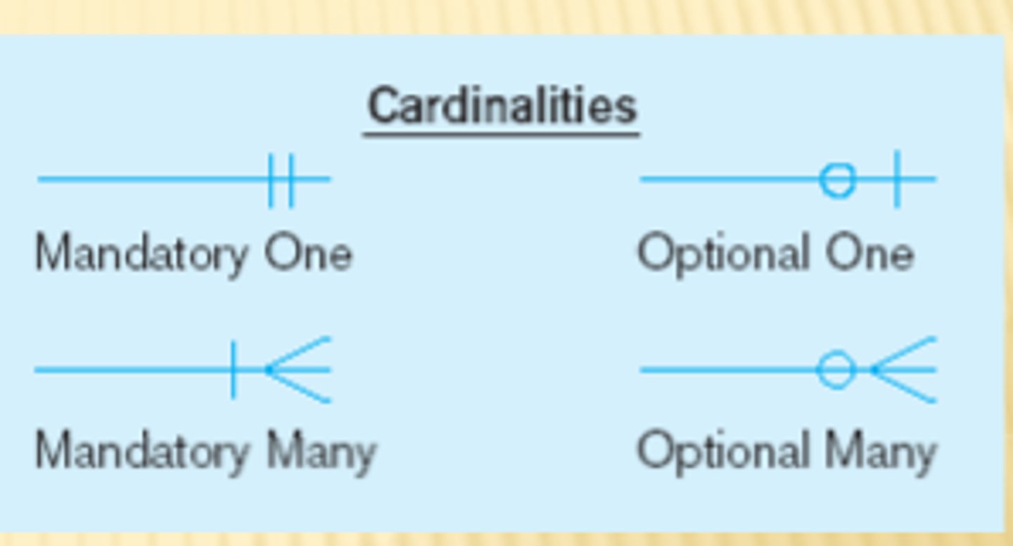 <p>the relationship between two entities, showing how many instances of one entity relate to instances in another entity. You specify cardinality in an ERD with various line endings. The first component of the terminator indicates whether the relationship between two entities is optional or required. The second component indicates whether an entity instance in the first table is associated with a single entity instance in the related table or if an association can exist with multiple entity instances.</p>