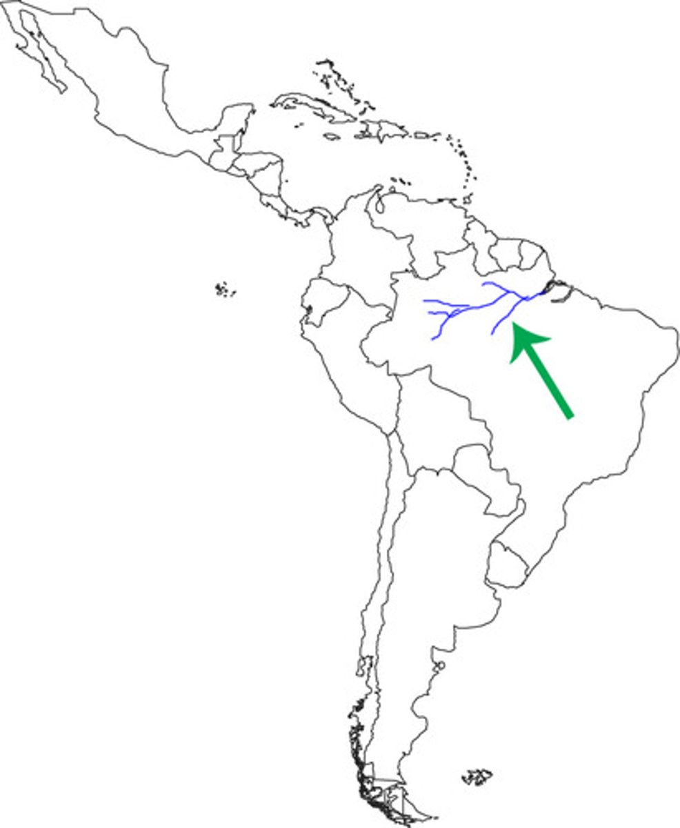 <p>flows east to the Atlantic Ocean; largest river system in the world; moves the highest volume of water in the world</p>