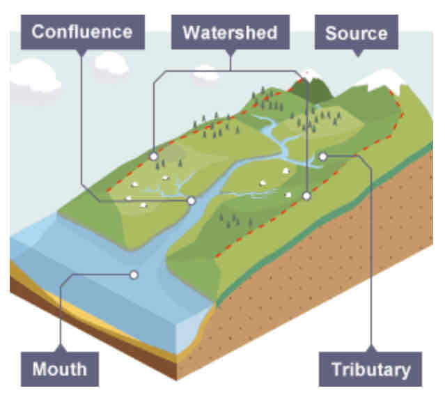 <p>The point at which two rivers meet.</p>