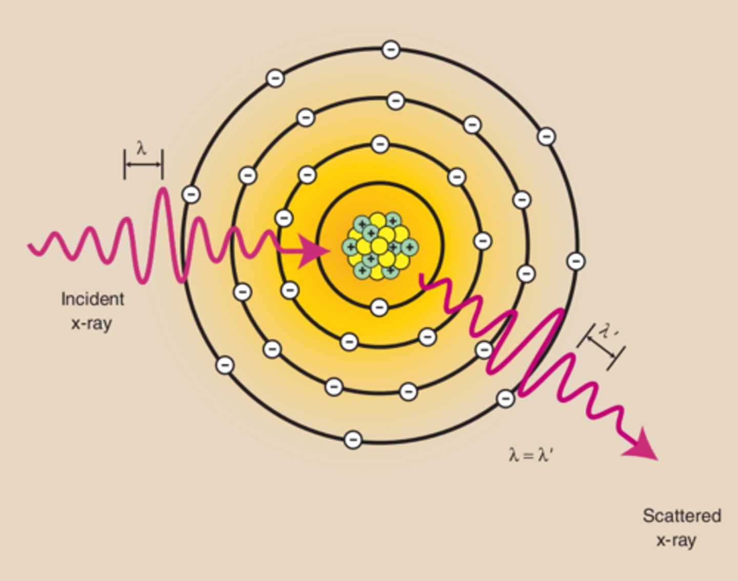 <p>The incident x-ray interacts with an atom causing it to become excited. The atom immediately releases this excess energy as a scattered x-ray having the same energy and wavelength as the incident x-ray, but in a different direction.</p>